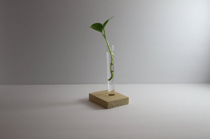 SHOTTO // 20MG CBD - Kohmodern